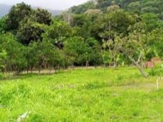 Terreno para construcción para Venta en La Guaira - 5